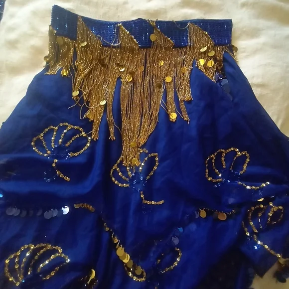 Belly Dancer Ornate Beaded Blue Gold Two Piece Bra Sheer Layered Tiered Skirt - Picture 13 of 13